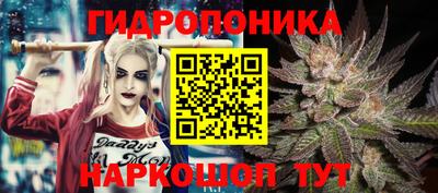 a pvp Мариинск
