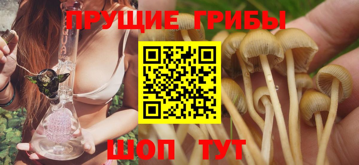 Псилоцибиновые грибы MAGIC MUSHROOMS  где продают   Ухта  Вход с VPN 