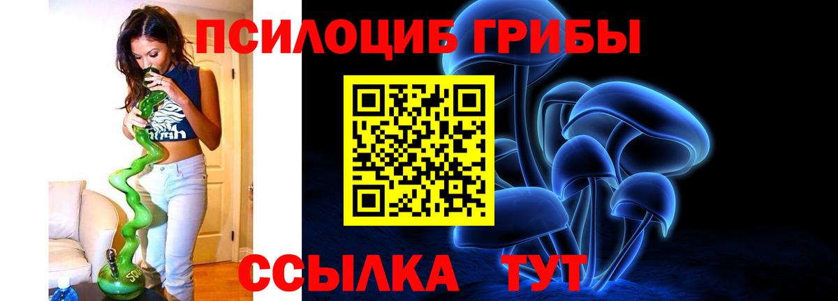 Псилоцибиновые грибы Cubensis Ухта